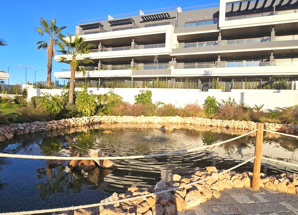 WhatsApp Image 2026-01-22 at 16.48.16 (1)